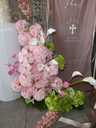P1011673.webp