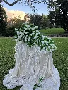 IMG_5799.webp