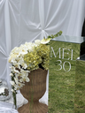 IMG_5719.webp