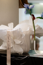 IMG_5047.webp