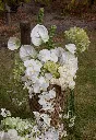 IMG_5790.webp