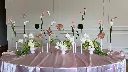 IMG_0967.webp
