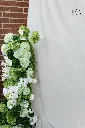 IMG_2418.webp