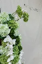 IMG_2398.webp