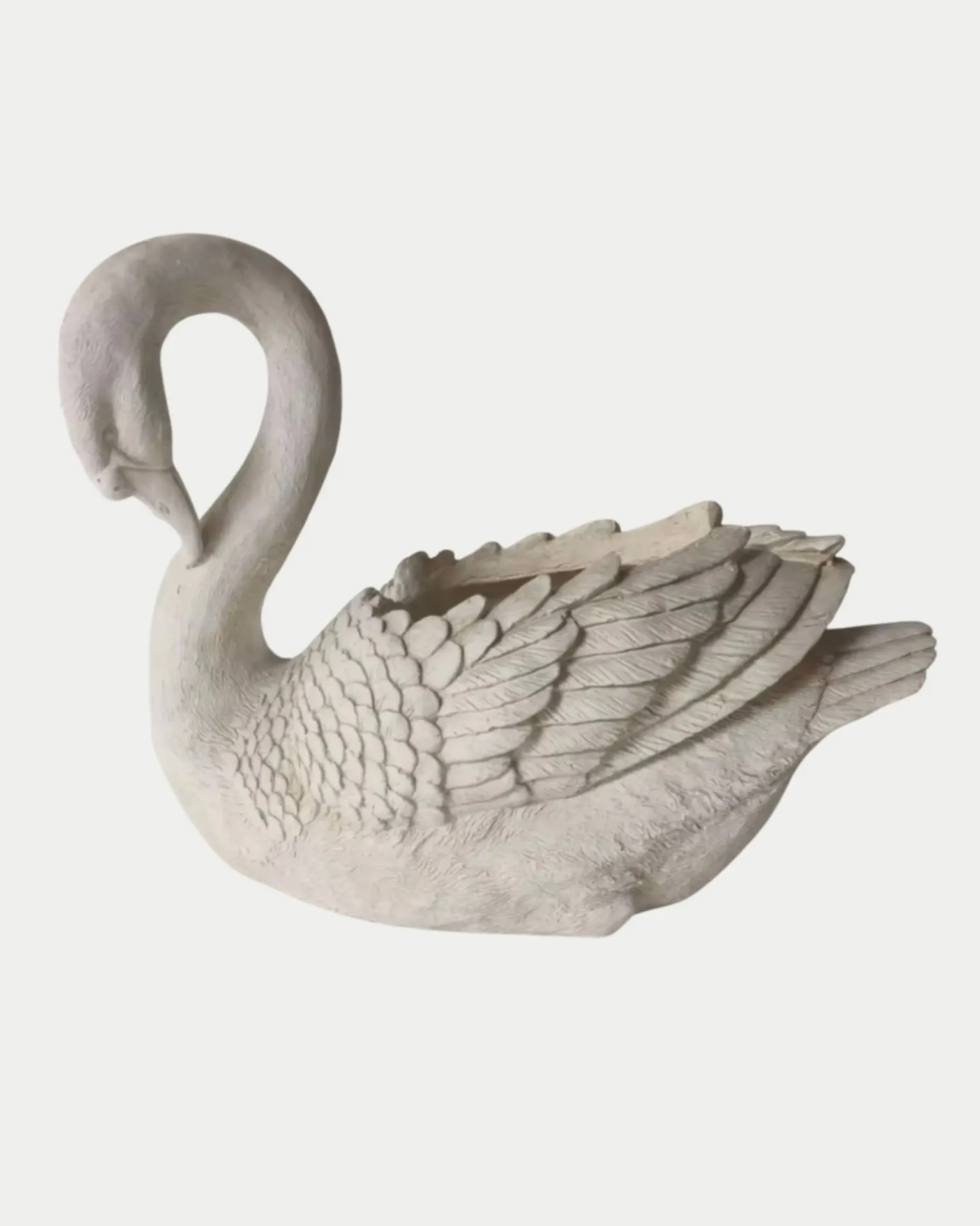 The Grace Swan